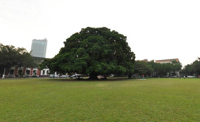 成大榕園