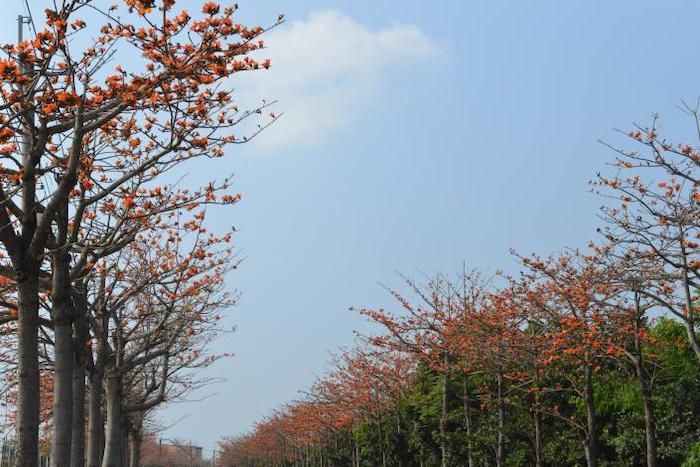 崙背鄉綠色觀光廊道