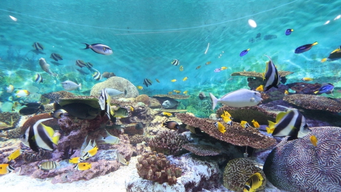 COEX水族館