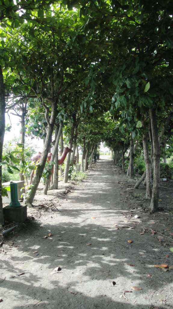 興山公園
