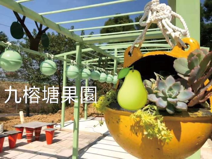 九榕塘有機文旦果園