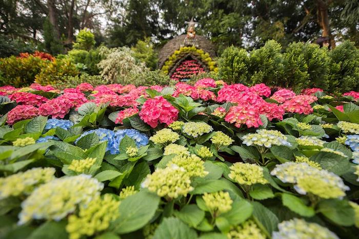 花露農場