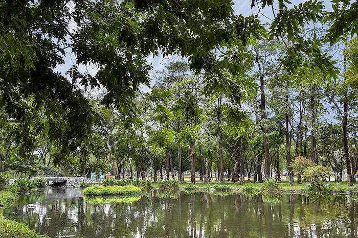 大東濕地公園