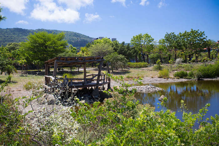 中都愛河濕地公園
