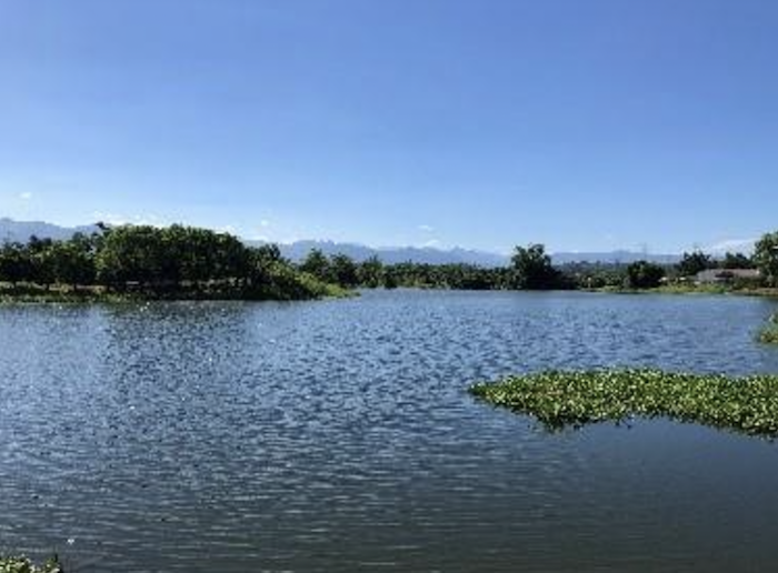 頂員林埤池