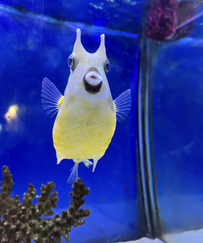 澄清湖海洋奇珍園