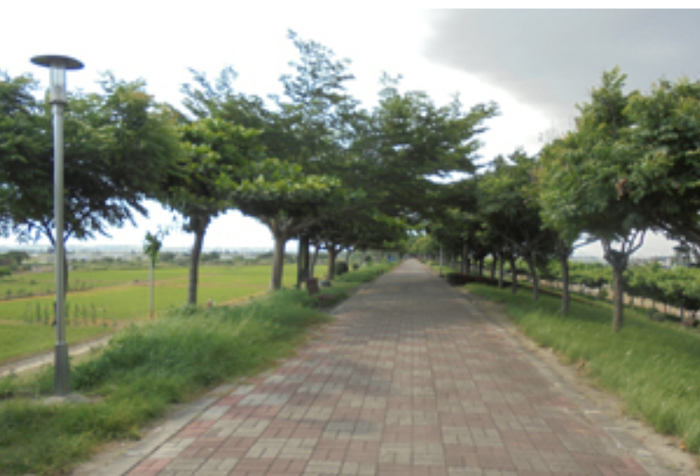 崙頂社區河堤公園