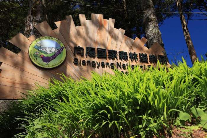 向陽國家森林遊樂區