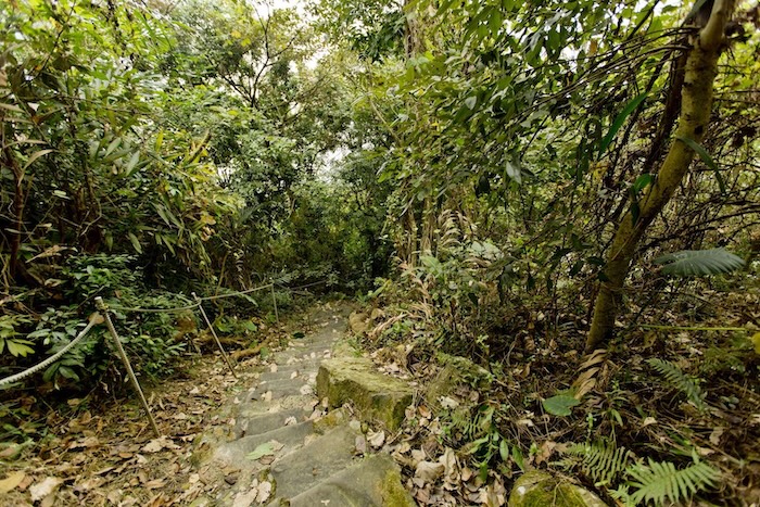 烏山登山步道系統