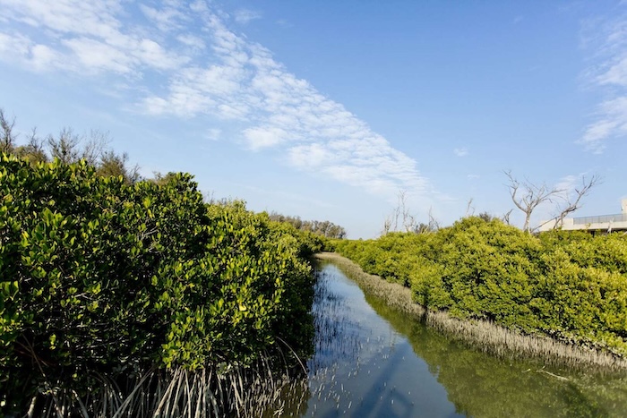 雙春濱海遊憩區