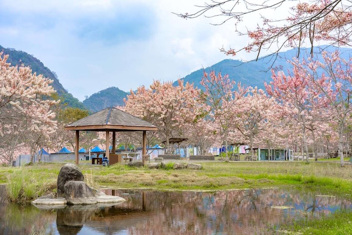 寶來花賞溫泉公園