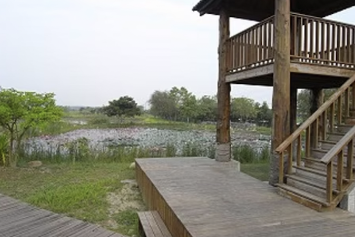 生態公園