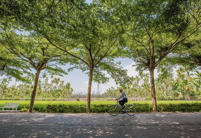 泗林綠色隧道