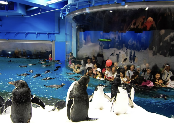 國立海洋生物博物館
