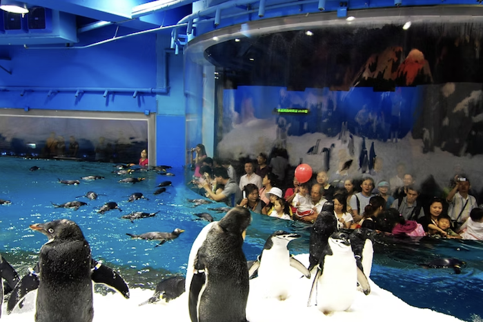 國立海洋生物博物館